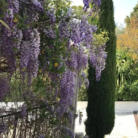 Bastide Nomade -